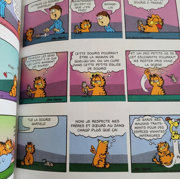 FRENCH album Garfield #33 - Picture 3 of 4